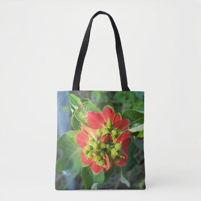 Wilde Poinsettia auf einer voll bedruckten Totbeut (Vorderseite)