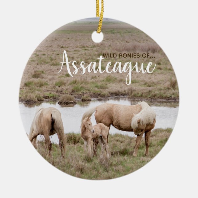 Wilde Ponys von Assateague Verzierung Keramik Ornament (Vorne)