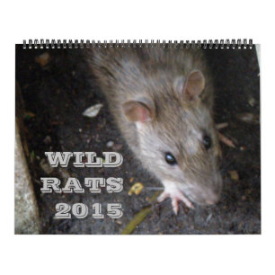 Wilde Ratten - Kalender 2015