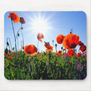 Wilde Red Poppies-Blume Mousepad