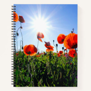 Wilde Red Poppies-Blume Notizbuch