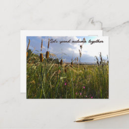 Wilde Rohrkolben und Sommerwiese Postkarte