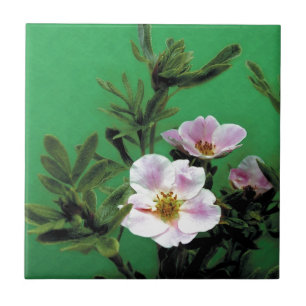 wilde rosa Rosenblüten in Grün, Elegant Fliese