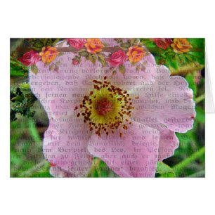 Wilde Rose