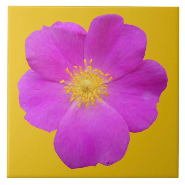 Wilde Rose 2 Fliese (Vorderseite)