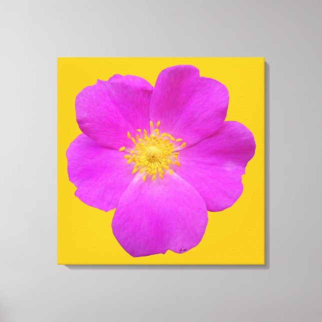 Wilde Rose 2 Leinwanddruck (Vorderseite)