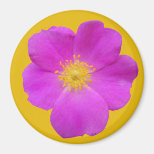 Wilde Rose 2 Magnet