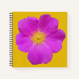 Wilde Rose 2 Notizbuch