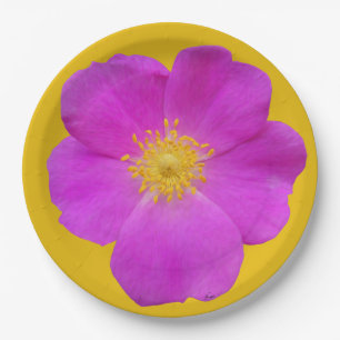 Wilde Rose 2 Pappteller