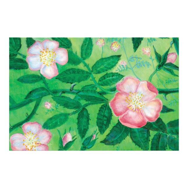 Wilde Rose Blume Fotodruck (Vorne)