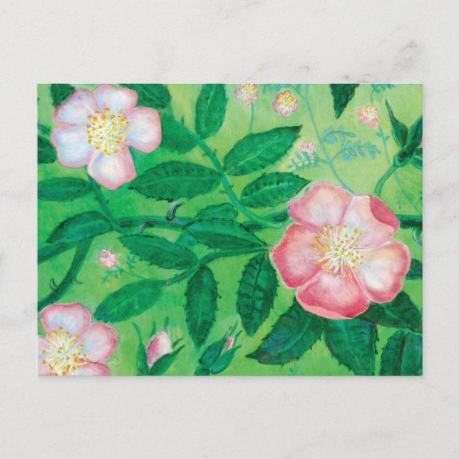Wilde Rose Blume Postkarte (Vorderseite)