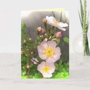 Wilde Rose Blume Vielen Dank Dankeskarte