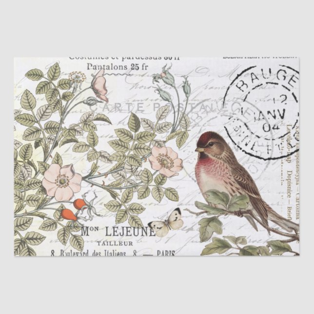 Wilde Rose Carte Postale Songbird Französisches Dr Seidenpapier (Vorderseite)