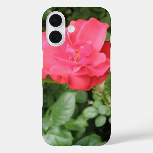 Wilde Rose Case-Mate iPhone Hülle (Rückseite)