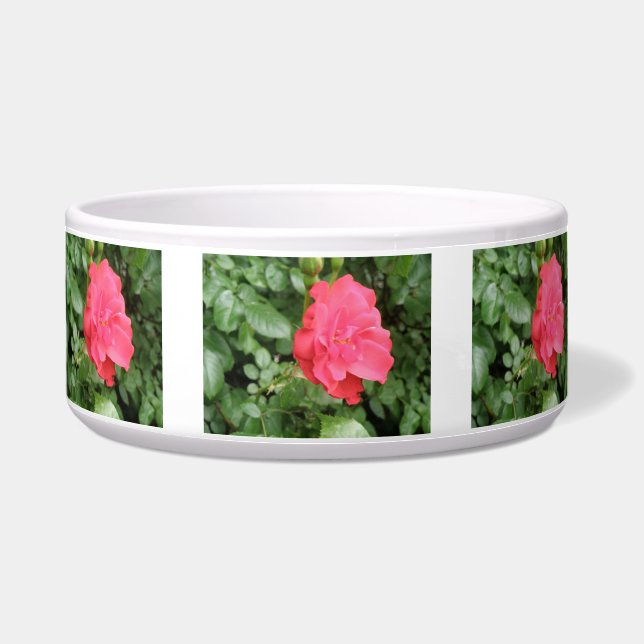 Wilde Rose Dog Bowl Napf (Vorderseite)
