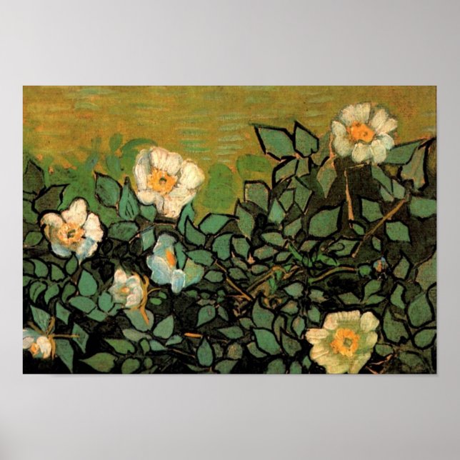 Wilde Rose (F597) Van Gogh Fine Art Poster (Vorne)