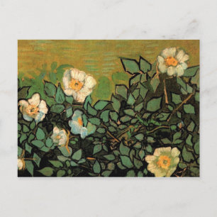 Wilde Rose (F597) Van Gogh Fine Art Postkarte