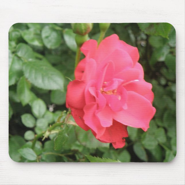 Wilde Rose Mousepad (Vorne)