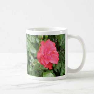 Wilde Rose Tasse