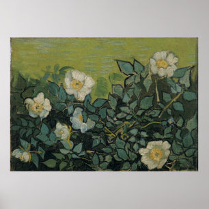 Wilde Rose von Vincent Van Gogh Poster