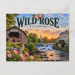 Wilde Rose Wisconsin Postkarte