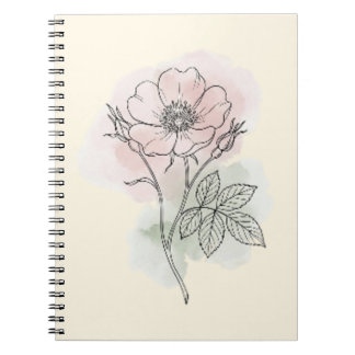 Wilde Rosen-Botanik-Aquarell-Skizzen-Spiralheft Notizblock