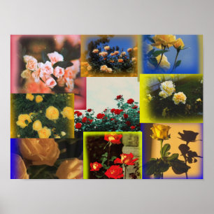 Wilde-Rosen-Collage-Poster Poster
