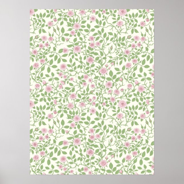 Wilde Rosen  Poster (Vorne)