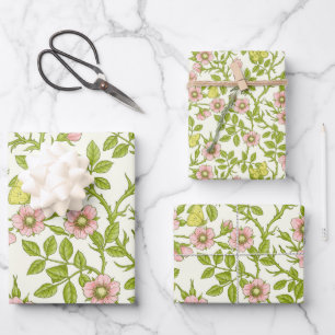 Wilde Rosen und Schmetterlinge /rosa/blassgrün/gel Geschenkpapier Set