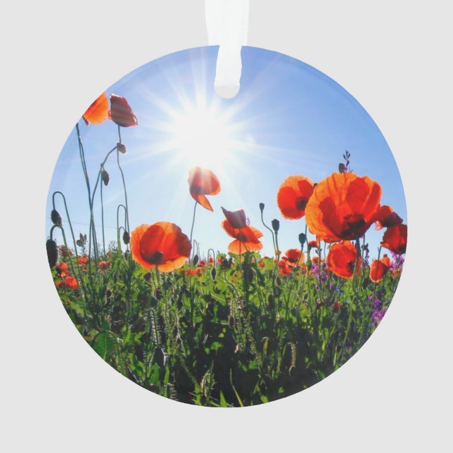 Wilde rote Mohnblumen Ornament (Rückseite)