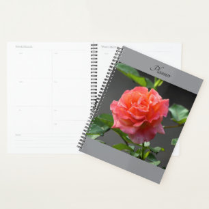 Wilde Rote Rose - Planer