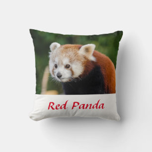 Wilde Rotpanda-Naturaufnahme Kissen