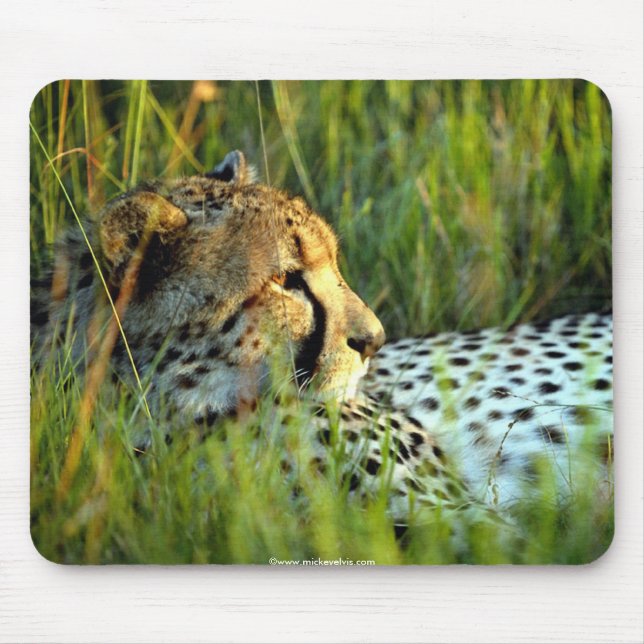 Wilde schöne Tiere 112 Mousepad (Vorne)