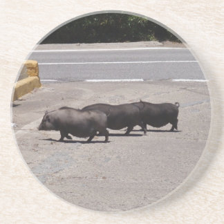 Wilde schwarze Schweine Sandstein Untersetzer