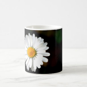 Wilde Single-Gänseblümchen-Blume Tasse