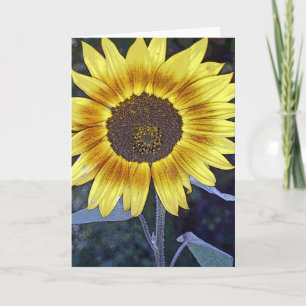 Wilde Sonnenblume Karte