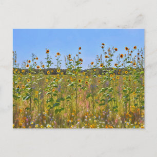 Wilde Sonnenblumen auf einem Bauernhofzaun Postkar Postkarte