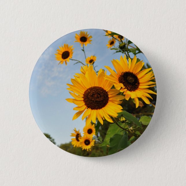 Wilde Sonnenblumen Button (Vorderseite)