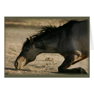 Wilde Stallions-Rollen-Karte