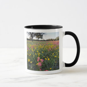 Wilde Straßenblumen in Texas, Frühling Tasse