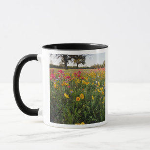 Wilde Straßenblumen in Texas, Frühling Tasse