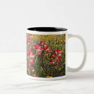 Wilde Straßenblumen in Texas, Frühling Zweifarbige Tasse