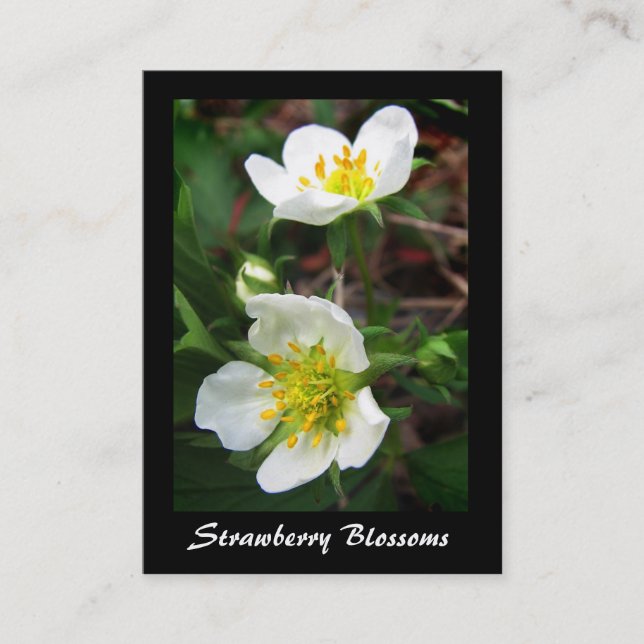 Wilde Strawberry Blossoms ATC Visitenkarte (Vorderseite)