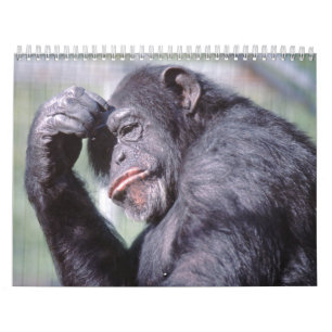 Wilde Tier-Kalender 2012 Kalender