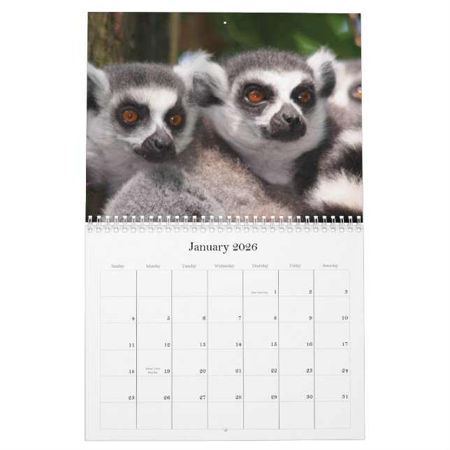 Wilde Tier-Kalender 2012 Kalender (Jan 2026)