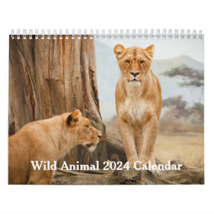 Wilde Tiere 2025 Kalender