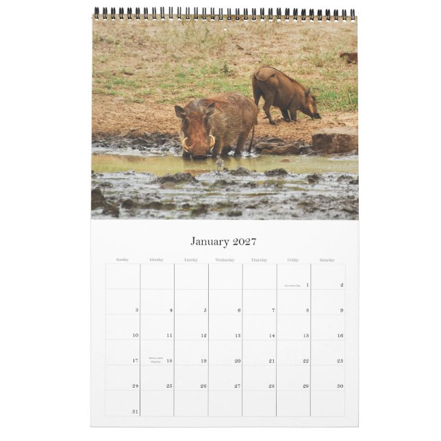 Wilde Tiere Afrika-Safari 2012 Kalender (Jan 2027)