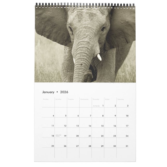 Wilde Tiere Afrika-Safari 2012 Kalender (Jan 2026)