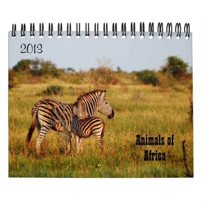 Wilde Tiere Afrika-Safari 2013 Kalender (Titelbild)