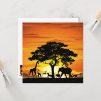 Wilde Tiere auf der afrikanischen Savanna Sunset